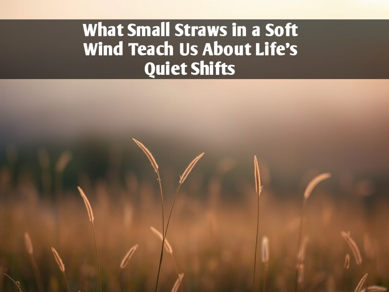 What Small Straws in a Soft Wind Teach Us About Life’s Quiet Shifts